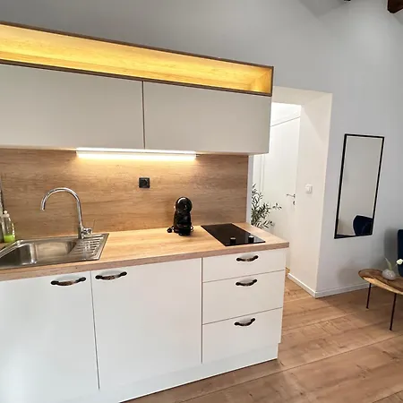 Agora Apartment- Heart Of Split